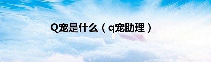 Q宠是什么（q宠助理）