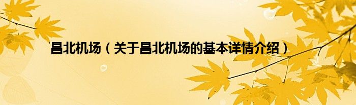 昌北机场（关于昌北机场的基本详情介绍）