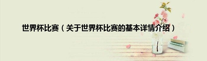 世界杯比赛（关于世界杯比赛的基本详情介绍）