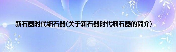 新石器时代细石器(关于新石器时代细石器的简介)