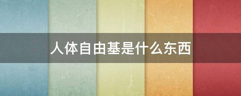 人体自由基是什么东西