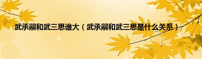 武承嗣和武三思谁大（武承嗣和武三思是什么关系）