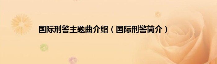 国际刑警主题曲介绍（国际刑警简介）