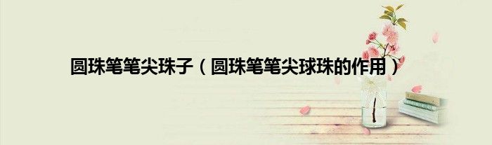 圆珠笔笔尖珠子（圆珠笔笔尖球珠的作用）