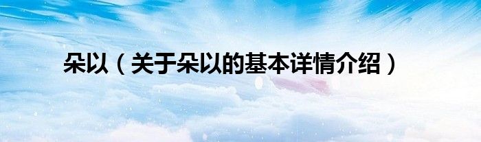 朵以（关于朵以的基本详情介绍）