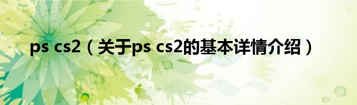 ps cs2（关于ps cs2的基本详情介绍）