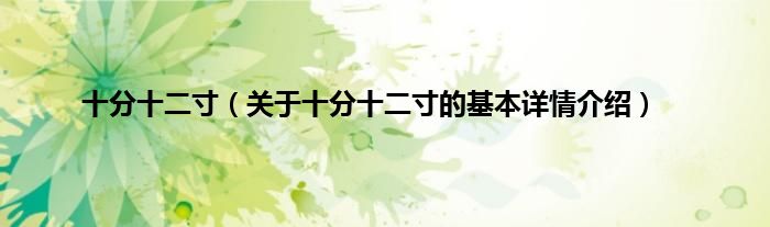 十分十二寸（关于十分十二寸的基本详情介绍）