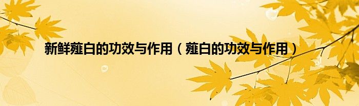 新鲜薤白的功效与作用（薤白的功效与作用）