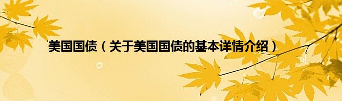 美国国债（关于美国国债的基本详情介绍）