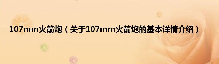 107mm火箭炮（关于107mm火箭炮的基本详情介绍）
