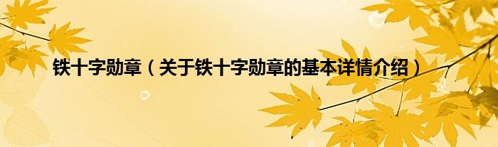 铁十字勋章（关于铁十字勋章的基本详情介绍）