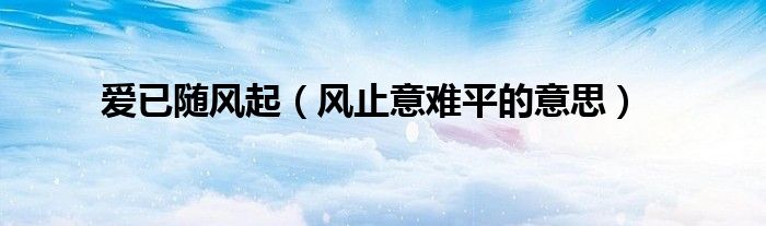 爱已随风起（风止意难平的意思）