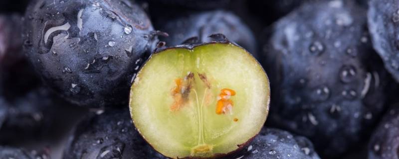 蓝莓上面的白霜能吃吗