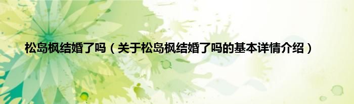 松岛枫结婚了吗（关于松岛枫结婚了吗的基本详情介绍）