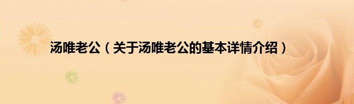 汤唯老公（关于汤唯老公的基本详情介绍）