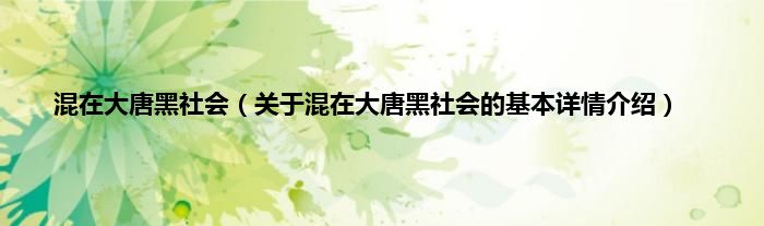 混在大唐黑社会（关于混在大唐黑社会的基本详情介绍）