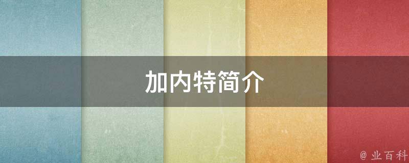 加内特简介