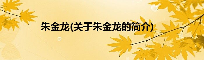 朱金龙(关于朱金龙的简介)