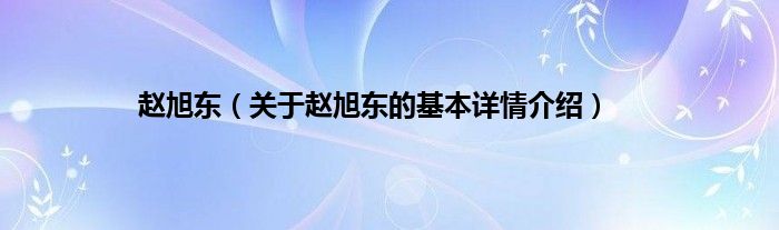 赵旭东（关于赵旭东的基本详情介绍）