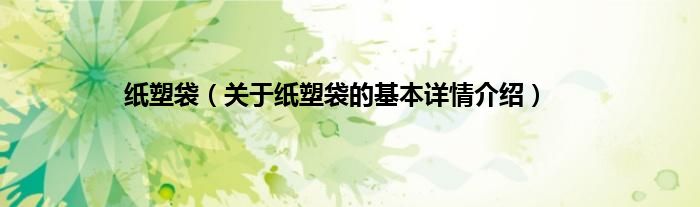 纸塑袋（关于纸塑袋的基本详情介绍）