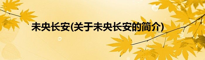未央长安(关于未央长安的简介)
