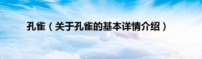 孔雀（关于孔雀的基本详情介绍）
