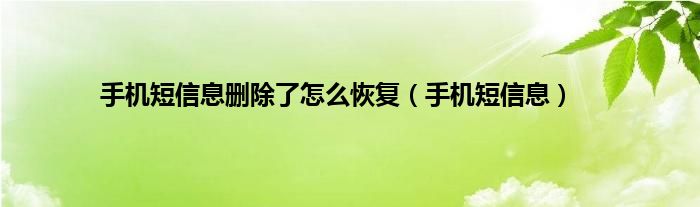 手机短信息删除了怎么恢复（手机短信息）