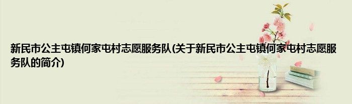 新民市公主屯镇何家屯村志愿服务队(关于新民市公主屯镇何家屯村志愿服务队的简介)