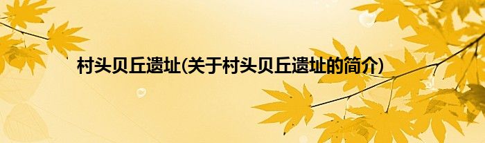 村头贝丘遗址(关于村头贝丘遗址的简介)