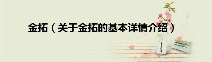 金拓（关于金拓的基本详情介绍）