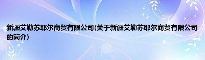 新疆艾勒苏耶尔商贸有限公司(关于新疆艾勒苏耶尔商贸有限公司的简介)