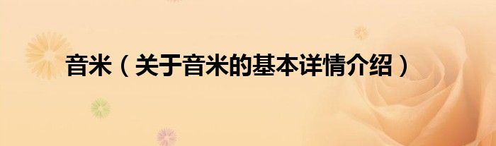 音米（关于音米的基本详情介绍）