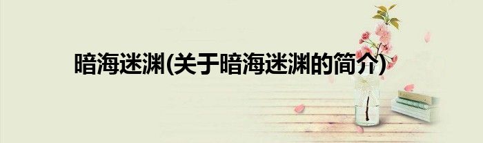 暗海迷渊(关于暗海迷渊的简介)