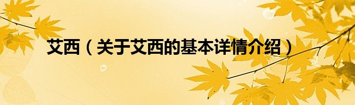 艾西（关于艾西的基本详情介绍）