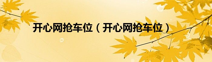 开心网抢车位（开心网抢车位）