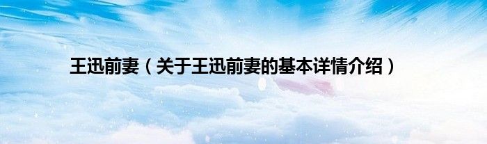 王迅前妻（关于王迅前妻的基本详情介绍）