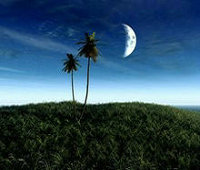 怎么购流量卡呢？