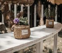 民穿今：她在21世纪混的风生水起姜笙秦野热门小说阅读_热门小说在线阅读民穿今：她在21世纪混的风生水起(姜笙秦野)