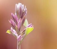 深圳哪个吉他老师比较擅长教成年人？