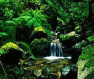 酒店客房管理系统用哪一个比较好？