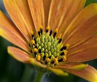 极乐迪斯科为PSXbox和Switch版本的游戏推送了名为JamaisVu的更新