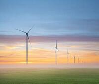 奥肯能胶囊说明书