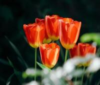 不记得家在哪了，怎么上户口