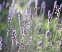 车门遥控打不开，车钥匙也打不开，友友们帮忙问一下，什么情况能打开