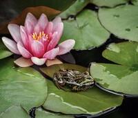 汽车透镜怎么分辨左驾驶和右驾驶？