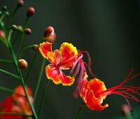 成都靠谱的寻车公司是哪一个？